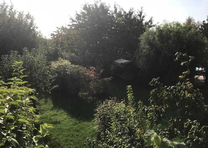 Fewo In Sonniger Lage In Sagard