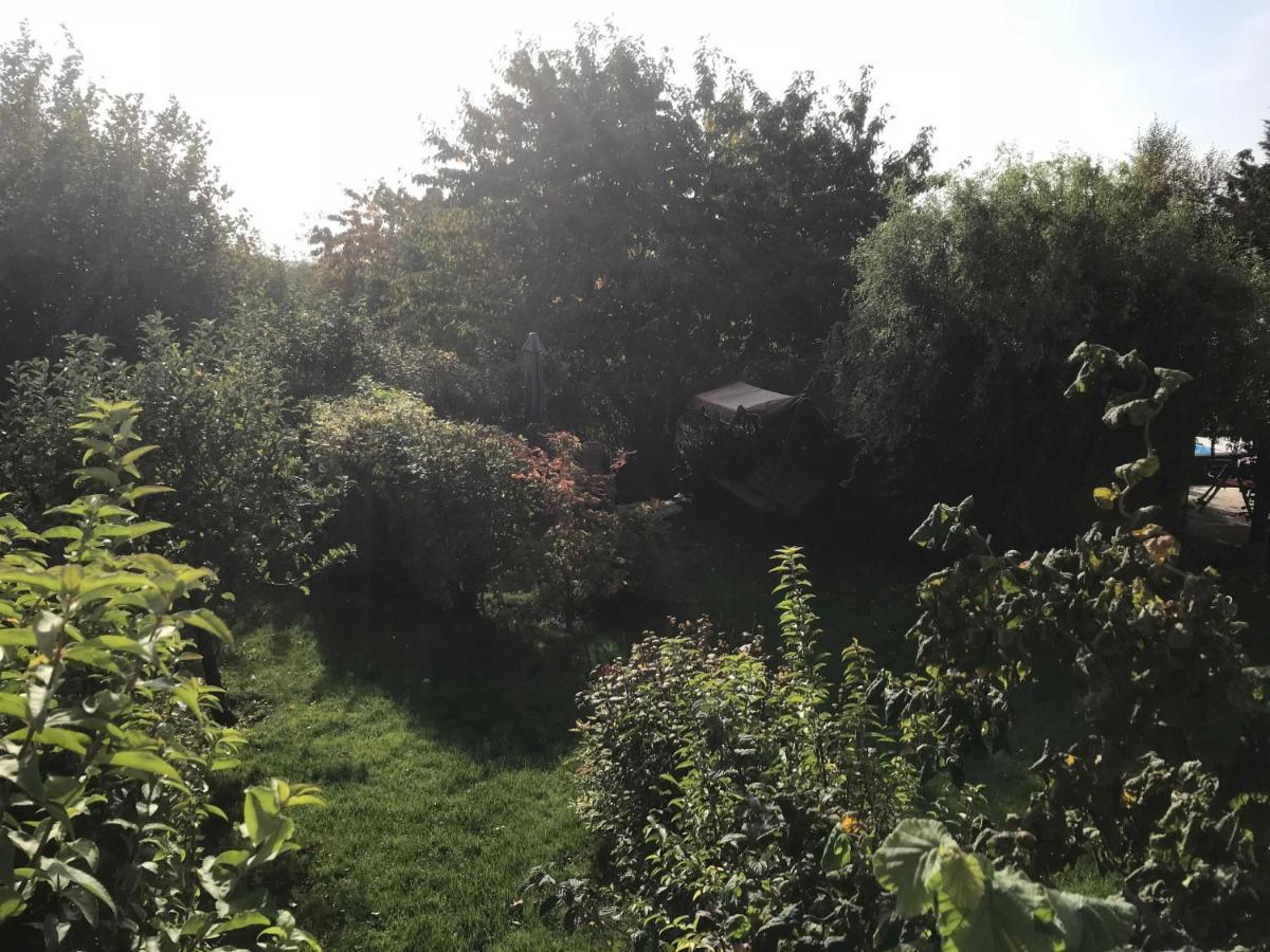 In Sonniger Lage In *